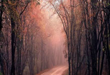 波尔图主场大捷，稳坐积分榜榜首