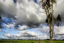 沃尔夫斯堡主场战平，积分稳定