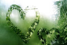 浙江绿城连胜中赛场，反弹形势喜人