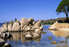 澳大利亚女足逆转晋级八强：激情与智慧铸就绿茵传奇